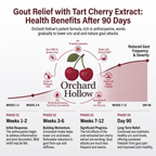 Less Stiffness & More Mobility In 2 Weeks | Pure Tart Cherry Extract 3,00mg | Cold-Extracted